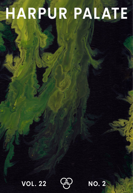 Image is cover of Harpur Palate Issue 22.2 Cover art resembles light green liquid swirling amidst black liquid