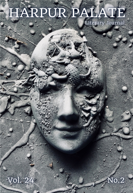 HARPUR PALATE 24.2 LONG COVER