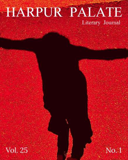 HP 25.1 Long Cover Art